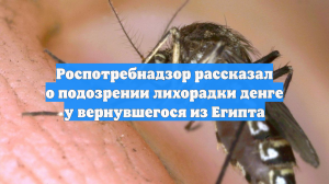 Роспотребнадзор рассказал о подозрении лихорадки денге у вернувшегося из Египта