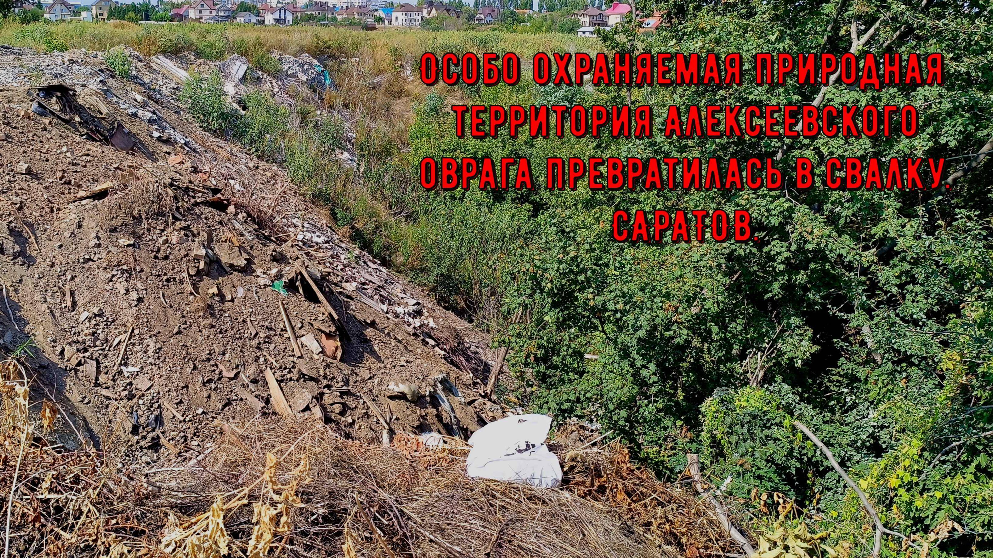 Особо охраняемая природная территория Алексеевского оврага превратилась в свалку. САРАТОВ.
