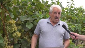 КIварчагъ дереда уьзуьмрин сифте бегьерар