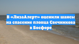В «ЛизаАлерт» оценили шансы на спасение пловца Свечникова в Босфоре