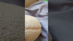 гусиная школа 3 серия