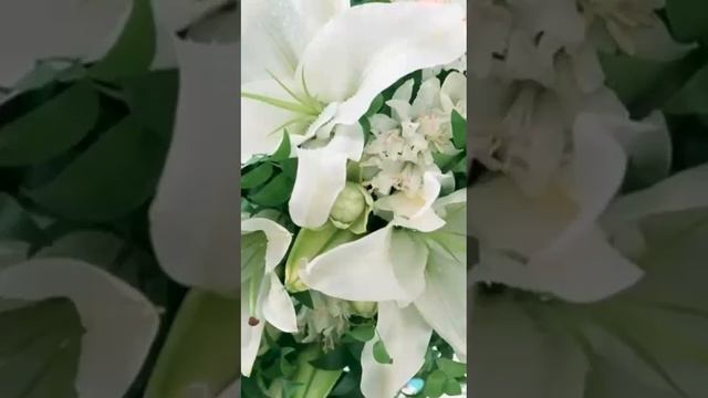 Песня на стихи Корельской Светланы " Букет лилий"