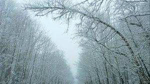 В ГОРАХ АДЫГЕИ