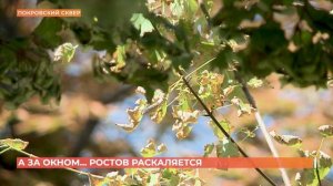 А за окном. 28 августа 2025