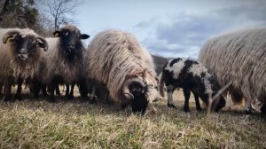 20469064-uhd_3840_2160_50fps