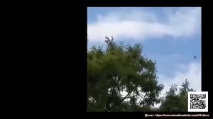 Новые кадры НЛО