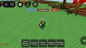 у меня было очень много денег Тогда не дали растения ещё Я вырастил манго