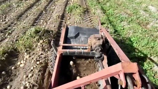 Немного по шабашкам .