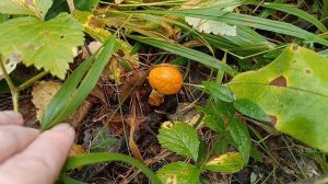 Сегодня у меня была особая миссия.