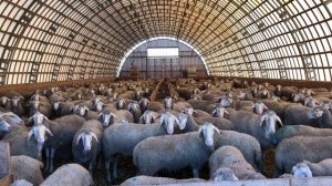 12030229_1920_1080_30fps