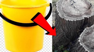 Как избавиться от пня За 3 Секунды!.!!!.!