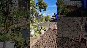 lv_0_20250828114705.mp4