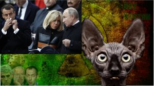Новости от 28.08.25 / Кот Костян