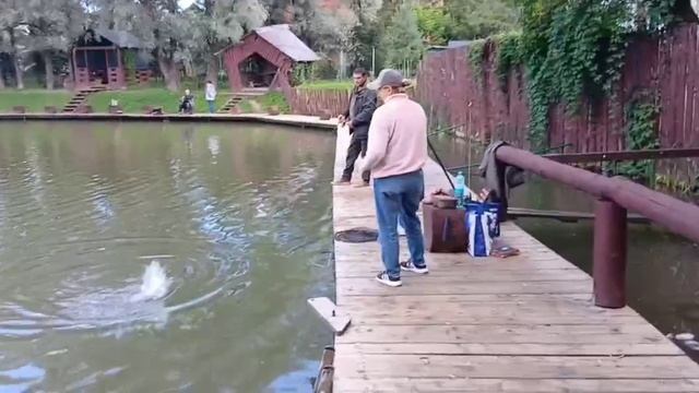 28-08-2025 смотреть онлайн