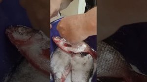 Вот так я солю и вялю ЛЕЩА в домашних условиях.