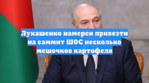 Лукашенко намерен привезти на саммит ШОС несколько мешочков картофеля