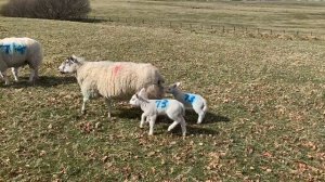 16312028-hd_1920_1080_30fps