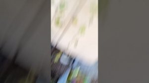 делаю всякие штучки