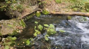 неизвестная пещера в Башкирии