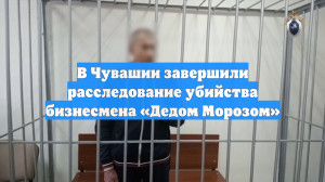 В Чувашии завершили расследование убийства бизнесмена «Дедом Морозом»