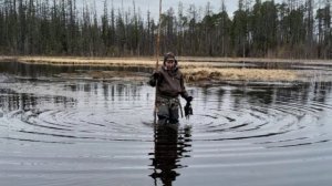 Весенняя охота