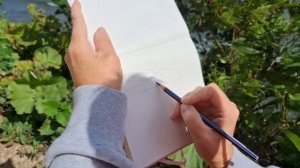 Озеро Лагунное, Кунашир.mp4