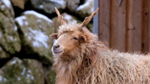 11090070-hd_3840_2160_25fps