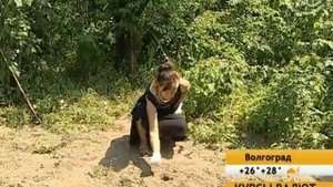 Средства от кротов