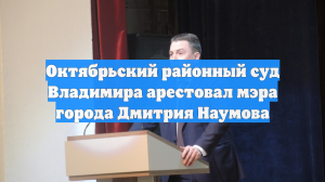 Октябрьский районный суд Владимира арестовал мэра города Дмитрия Наумова