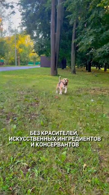 Игрушки из кофейного дерева Coffee Wood