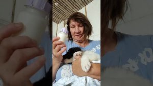 Завтрак у малыша