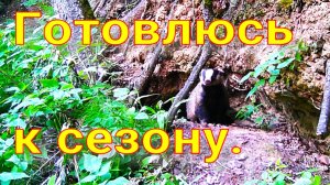 Обошёл четыре барсучьих городка барсук есть попытка рыбачить на таёжной реке Аркан поправляется