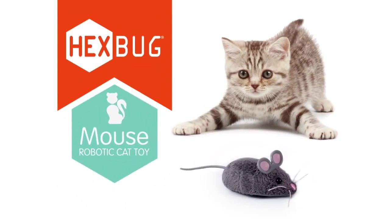 HEXBUG Mouse Robotic Cat Toy
