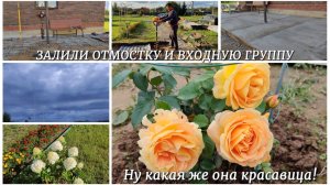 ВЛОГ 🏠 Залили отмостку и входную группу. Ну какая же она красавица! Свой помидор мы всё же съели 🍅