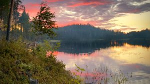 Путешествие в Калевалу. Сплав по реке Писта в августе 2025