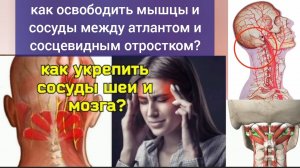 Зажатая линия "атлант - сосцевидный отросток черепа" - причина деградации шеи и мозга. Упражнения