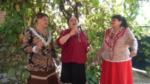 ВАСЕНЬКА МОЙ