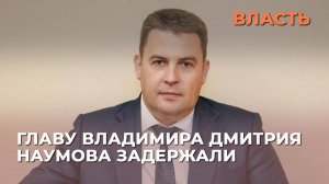 Главу Владимира Дмитрия Наумова задержали