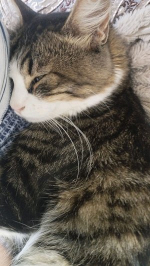 лепим титана спикермена 2.0 из пластилина