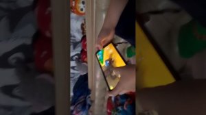 медведи ходят по пустыне и бьют крокодильчиков