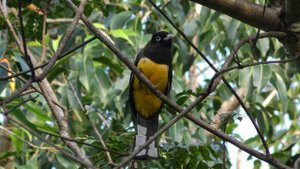 Успокаивающая музыка для нервов 🌿 лечебная музыка для сердца и сосудов, релакс, музыка для души #19