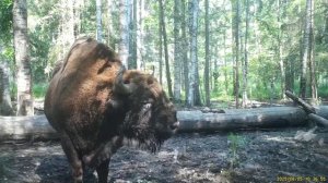 Видео+от+Национальный+парк+&quot;Смоленское+Поозерье&quot;