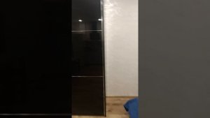 квартира