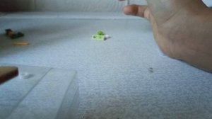 игрушка из магнита