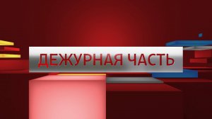 ДЕЖУРНАЯ ЧАСТЬ АЛАНИЯ №850