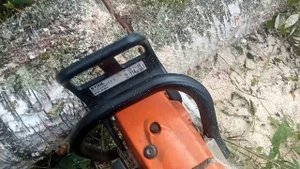 Работа в лесу.Распиловка дров