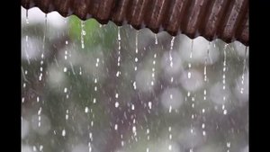 Душевная песня Мой дождик