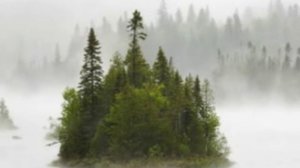 Там за туманами...