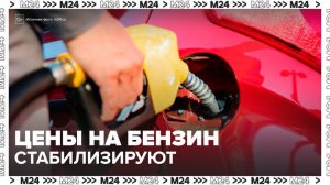 Эксперт рассказал, какие меры примут для стабилизации цен на бензин в РФ - Москва 24