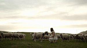 9906576-uhd_4096_2160_25fps